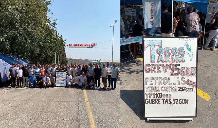 Toros Tarım’da 95 Gündür Süren Sessiz Direniş! Grev Büyüyor!
