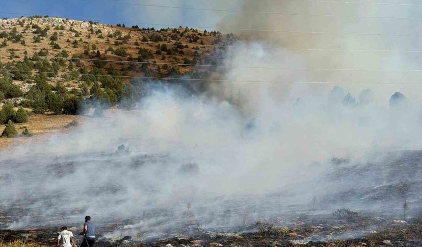 Tufanbeyli’de Korkutan Yangın! Anız Ormanı Tehdit Etti