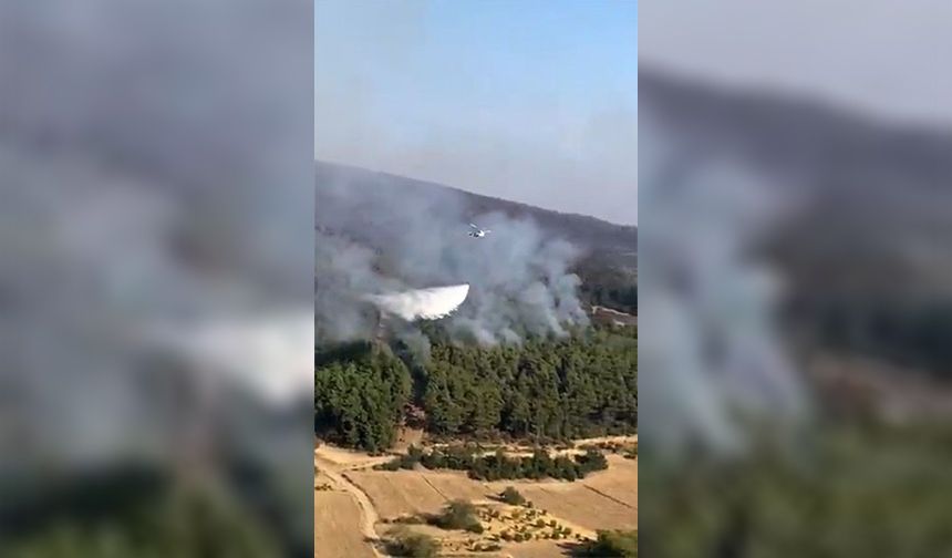 Çanakkale ve Adana’daki Yangınlarda Son Dakika Gelişmesi!
