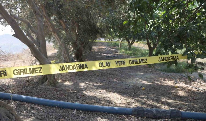 150 Bin TL’lik Gasp ve Satırla Cinayet! Katil Pamuk Adlı Köpekle Yakalandı