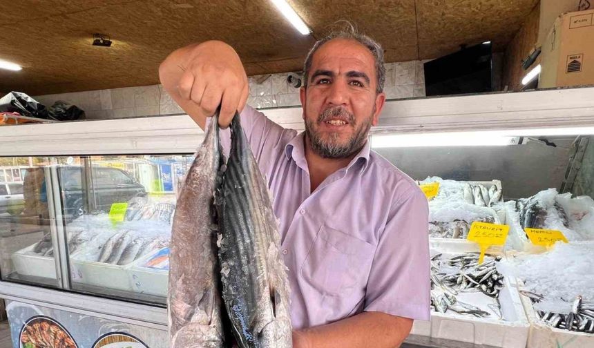 Alabalığın Başkentinden 54 Ülkeye Balık İhracatı