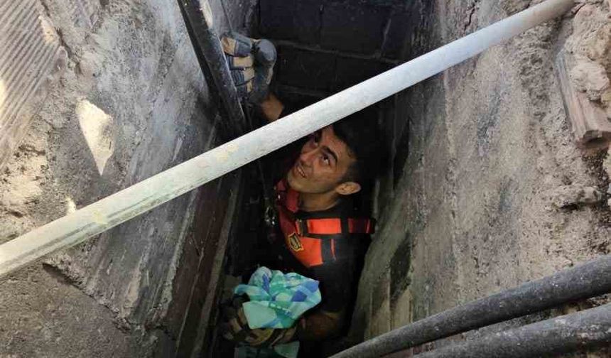 Apartman Boşluğuna Düşen Kedi Zorlu Operasyonla Kurtarıldı