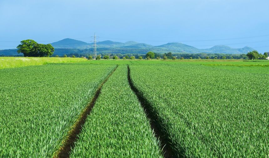 Kısa süre satışta kalacak: Mahkeme Adana'da 392 arsayı bu rakama satacak!