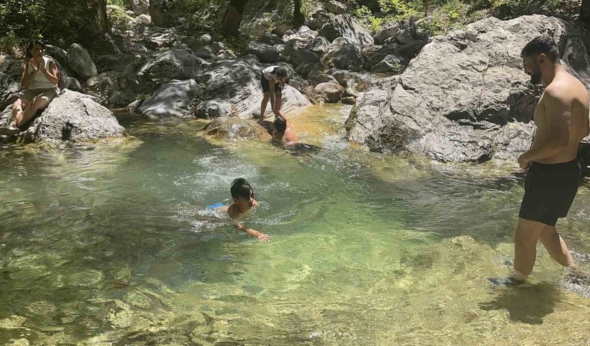 Doğanın Kalbinde Bir Cennet: Kocakesme Şelalesi