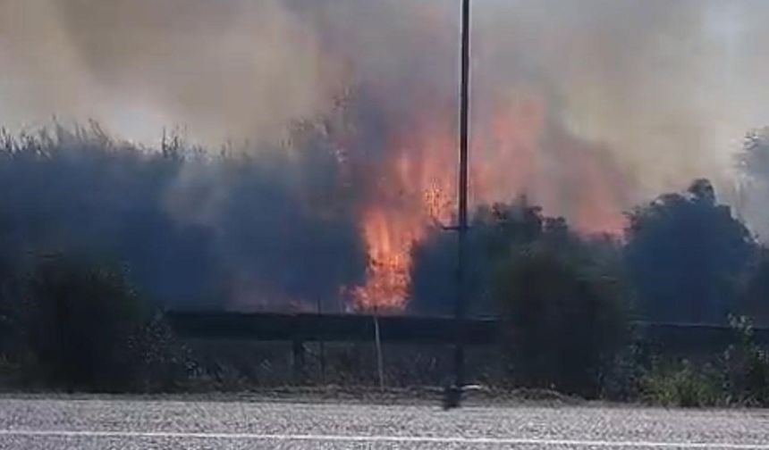Hızlı Müdahale Felaketi Önledi: Kozan’da Sazlık Yangını Paniğe Yol Açtı!