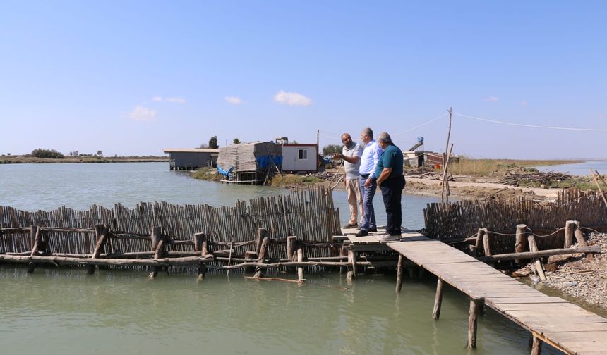Levrek, Kefal ve Çupra: Adana Dalyanları Balıkla Dolu