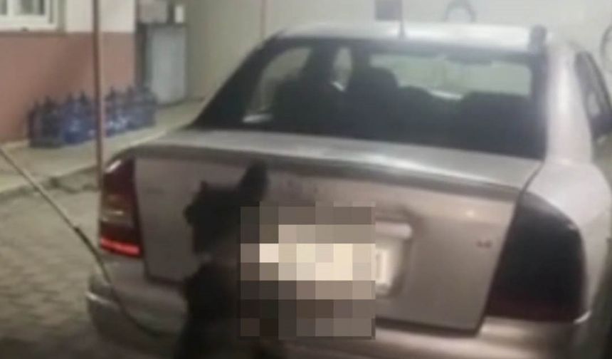 LPG Tankından Skunk Çıktı! Adana’da 6 Kişi Tutuklandı