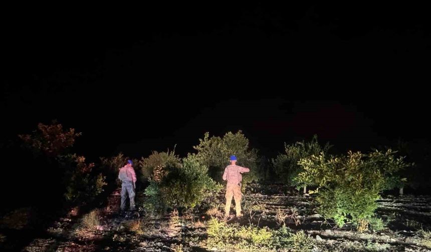 Narenciye Bahçelerini Korumak İçin Jandarma Seferber Oldu