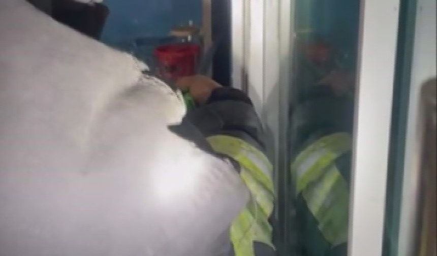 Sıcaktan Serinlemeye Gelen Yılan Marketin Soğutma Dolabına Girdi!