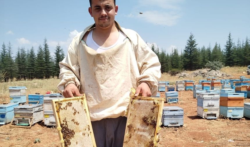 Teknoloji Dünyasını Bıraktı, Balın ve Arı Zehrinin Peşine Düştü!