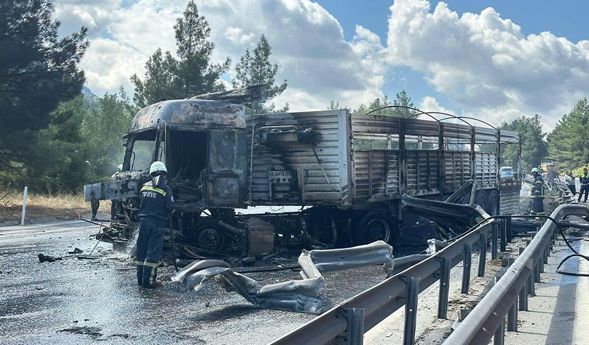 Pozantı’da TIR Yangını Korkuttu: Büyükbaş Hayvanlar Son Anda Kurtarıldı!
