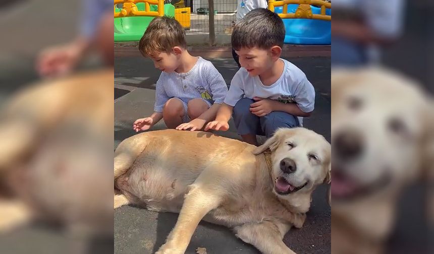 Seyhan Belediyesi’nden Miniklere Sevgi Dolu Ders: Hayvanları Korumak Elinizde