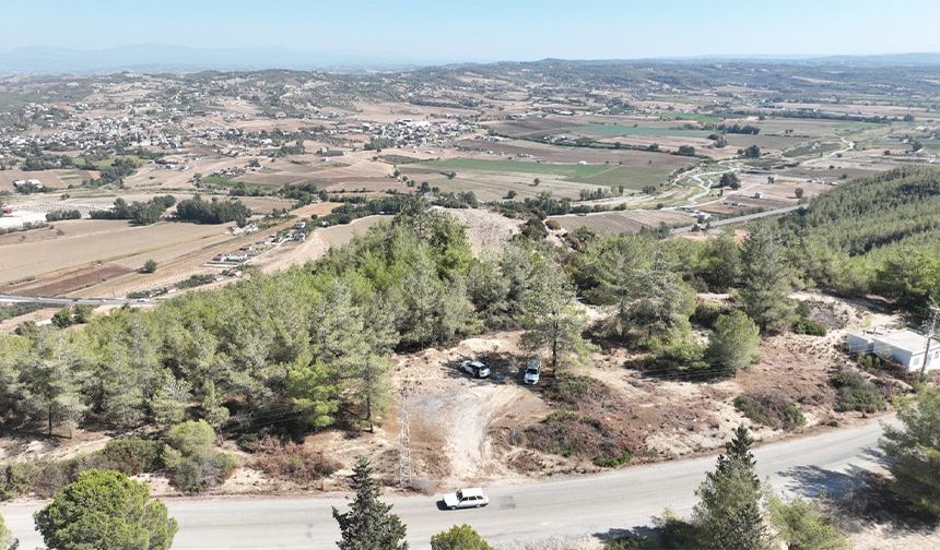 Seyhan’dan Sokak Hayvanlarına Büyük Müjde: 23 Dönümlük Yaşam Alanı!