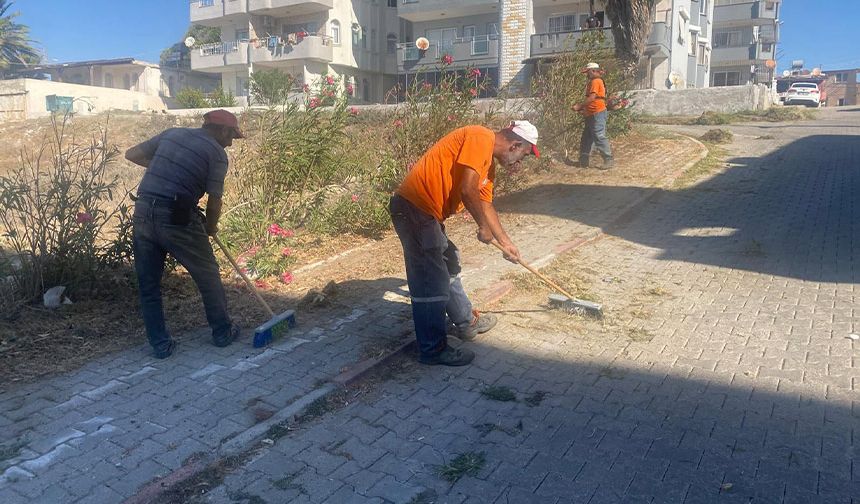 Daha Yaşanabilir Bir Yumurtalık İçin Durmaksızın Çalışıyorlar