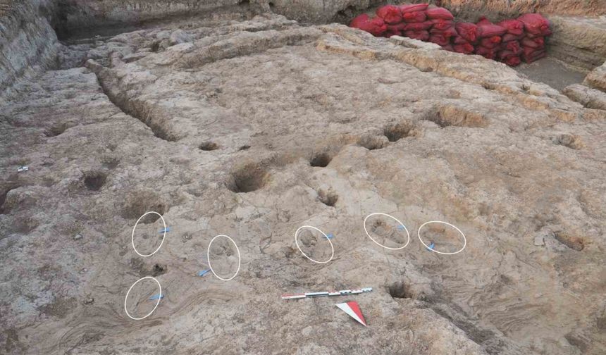 Zamanın İçinde Bir Adım: 7 Bin Yıllık Gizemli Ayak İzleri Ortaya Çıktı