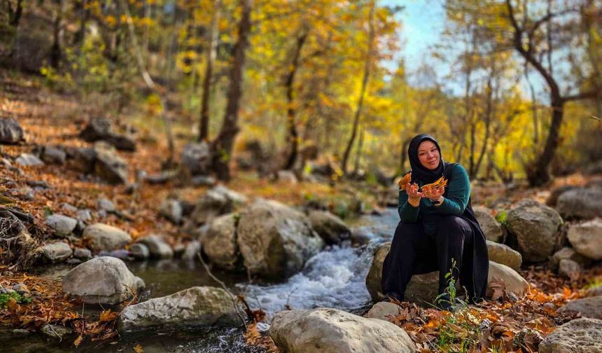 Belemedik’te Sonbahar Patlaması! Renk Cümbüşü Görenleri Büyüledi