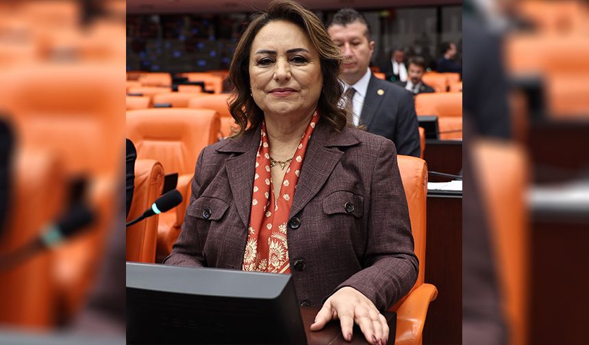 CHP’li Dr. Şevkin’den TBMM’de Şok Açıklama: Türkiye Silah Cenneti Haline Geldi!