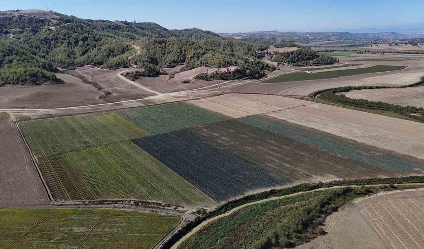 Seyhan Barajı Çekildi, Çiftçiler Göl Tabanına Ekti! 52 Yılın En Büyük Kuraklığı
