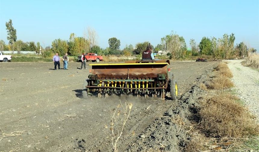 İşgalden Üretime: Adana’da Dev Merada Büyük Dönüşüm!