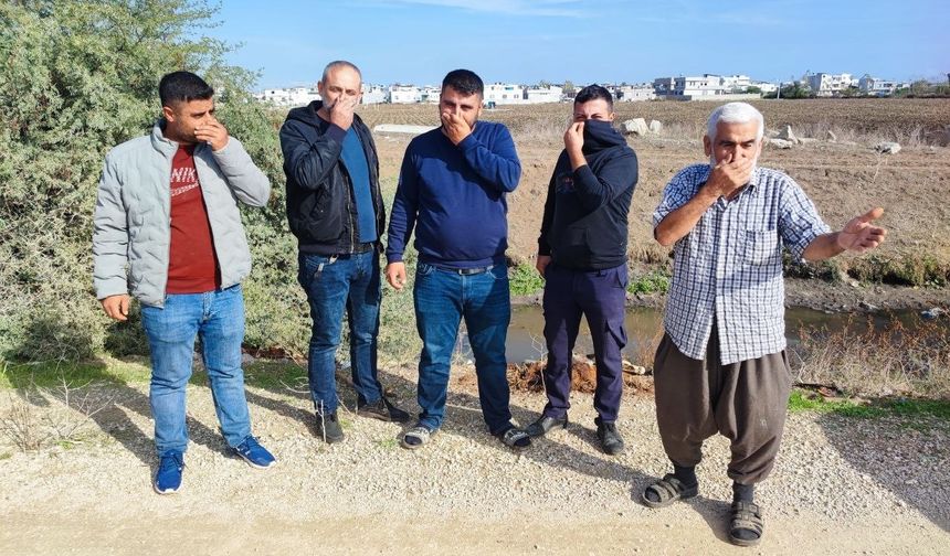 Adana’da Dereye Atılan At ve Eşek Kalıntıları Mahalleyi Zehirledi!