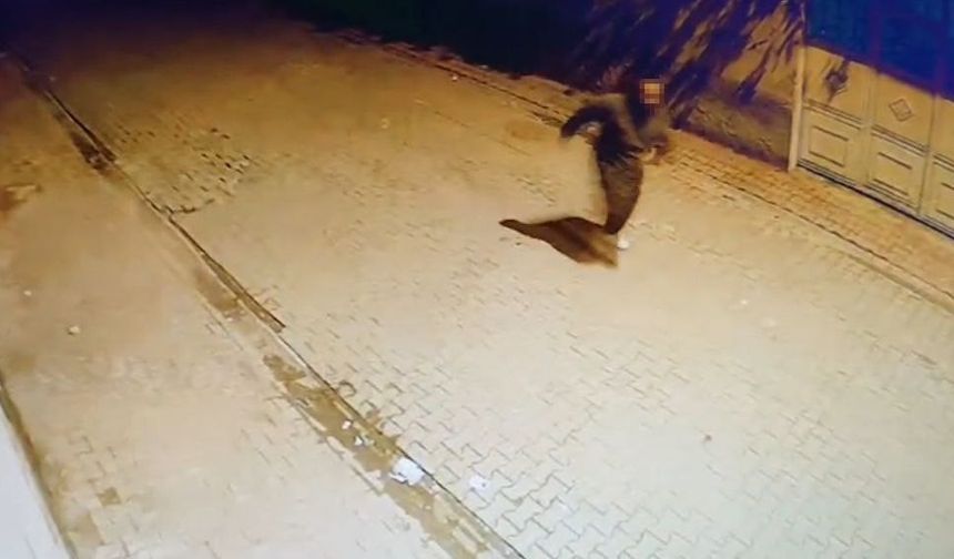 Yüreğir’de Gece Yarısı Saldırısı: Camlar Tek Tek Kırıldı