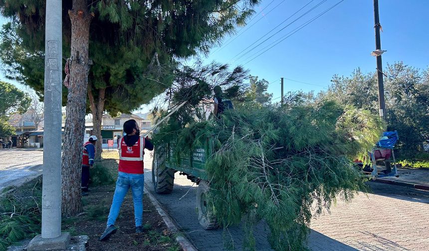 Ceyhan Belediyesi’nden Sarımazı’da Dev Temizlik Operasyonu
