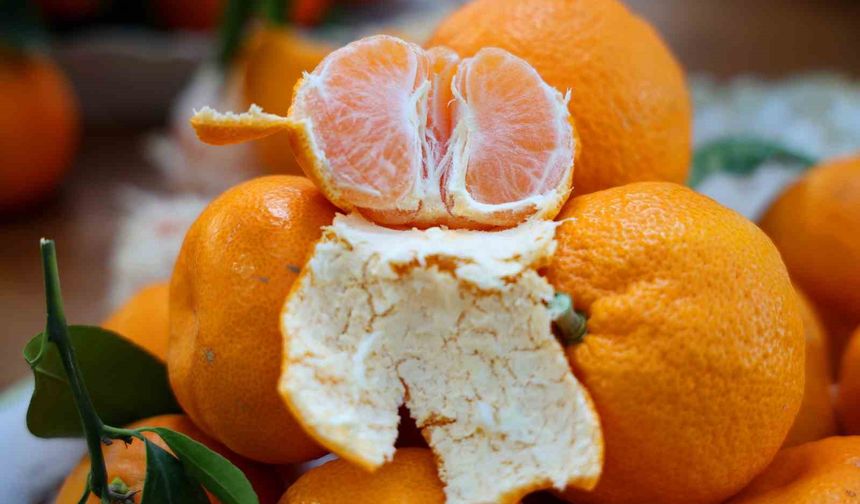 Adana’da Mandalina Alarmı! Dalında 3 TL’ye Kadar Düştü