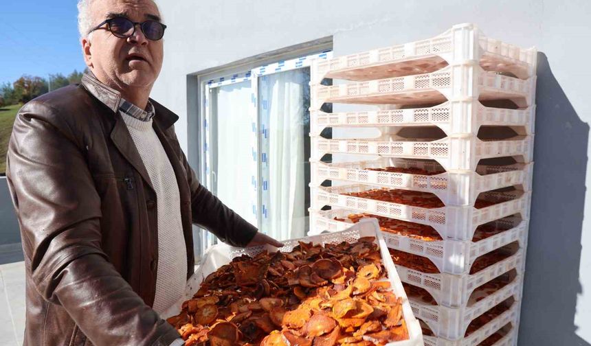 Köyde Kurulan Tesisle Almanya’ya İlk İhracat: Kozan Hurması Dünya Yolunda