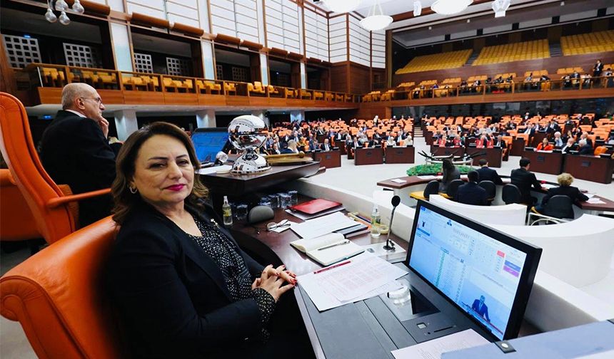 Şevkin: Kapanan Kepenkler,  Ekonomik Krizin Yerel Yüzü