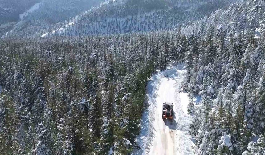 Adana’da Sibirya Soğuğu: Feke’de Kar Kalınlığı 1 Metreyi Aştı