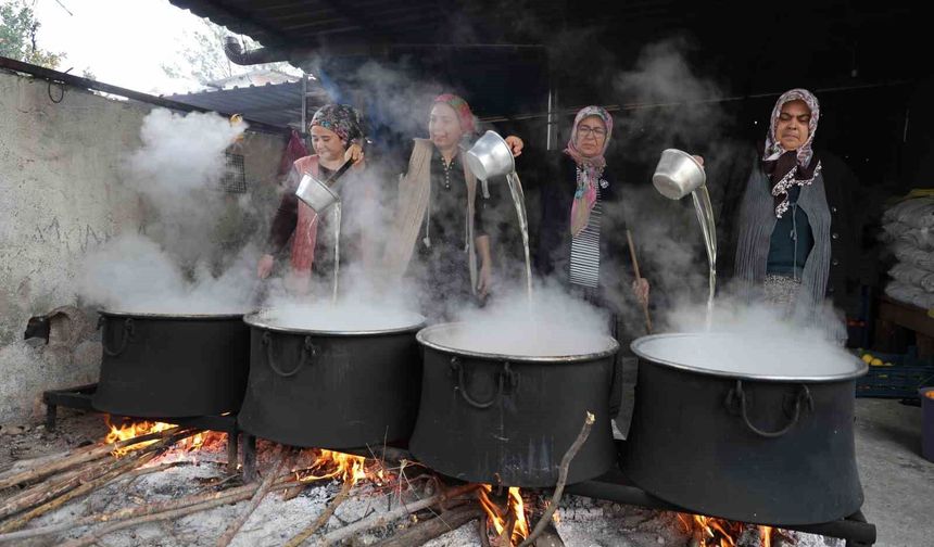 Tarlada 5 TL, Kavanozda 300 TL: Turunç Ekonomiye Kazandırıldı