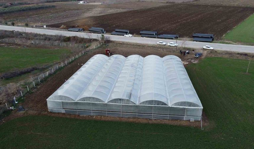 Devlet Hibesiyle Kendi İşlerinin Patronu Oldular