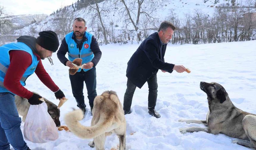 Adana’nın Zirvesinde Can Dostlara Umut Oldular