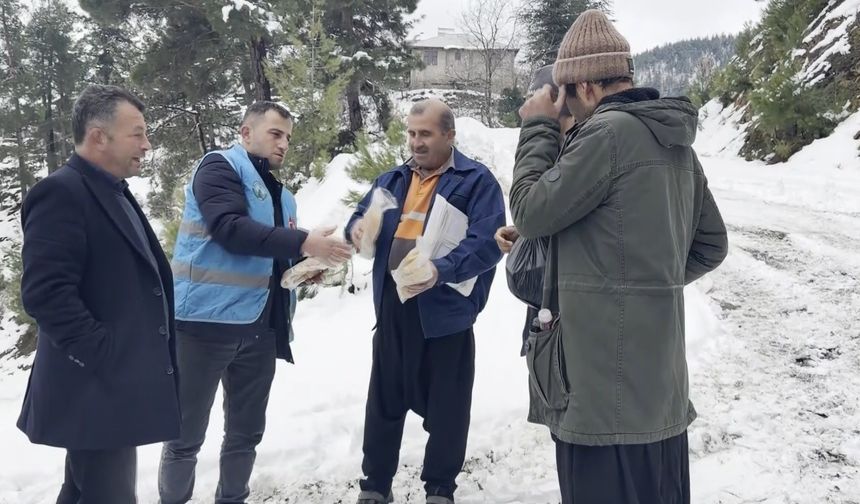 Feke’de Soğuk Havaya Sıcak Dokunuş: Belediyeden Kavurma İkramı