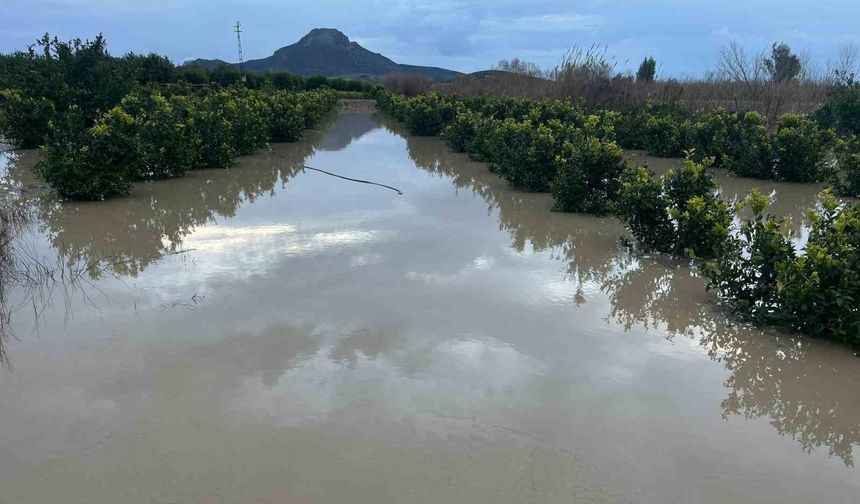 Adana’da Yağmur Felaketi! Çiftçiler Tarlaya Kayıkla Gitti
