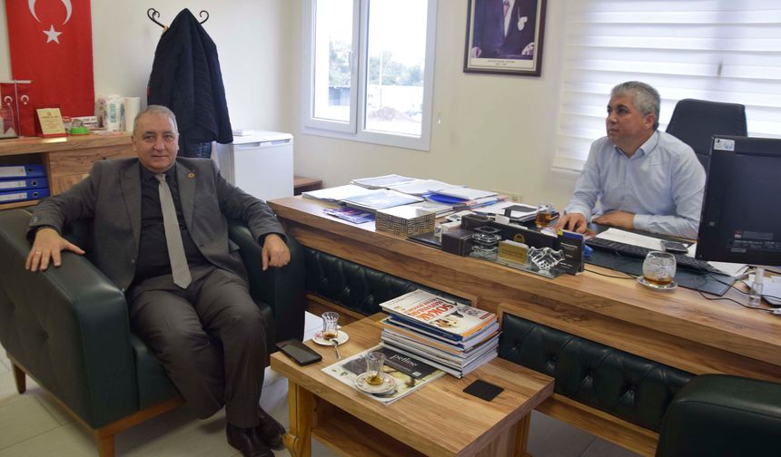 Adana’da Hayvan Bakımevi Alarm Veriyor: Kapasite Yetersiz