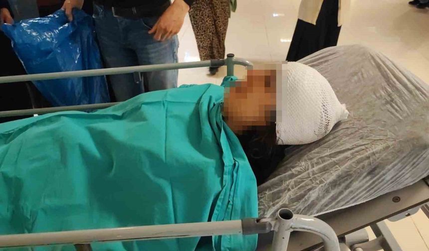 Adana’da Dehşet Anları! Ekmek Almaya Giderken Köpeklerin Saldırısına Uğradı