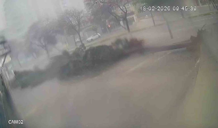 Adana’da Fırtına Dehşeti! Ağaçlar Peş Peşe Böyle Devrildi