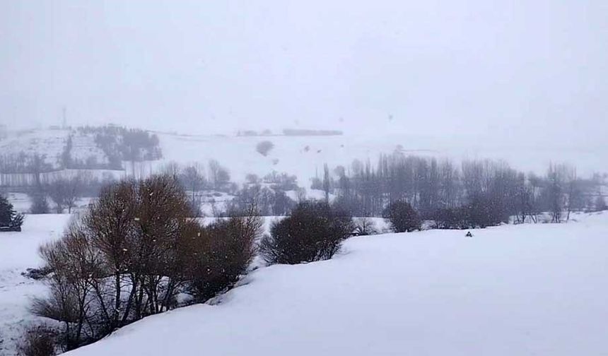 Tufanbeyli’de Masalsı Manzara: Kar İlçeyi Teslim Aldı