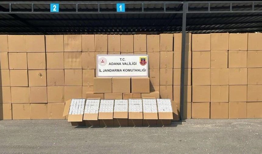 Adana’da Dev Operasyon: 16 Milyon Makaron Ele Geçirildi!