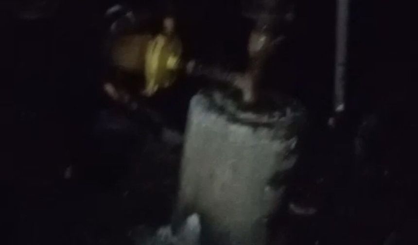 Adana’da Mangal Sonrası Felaket! 40 Güvercin Telef Oldu