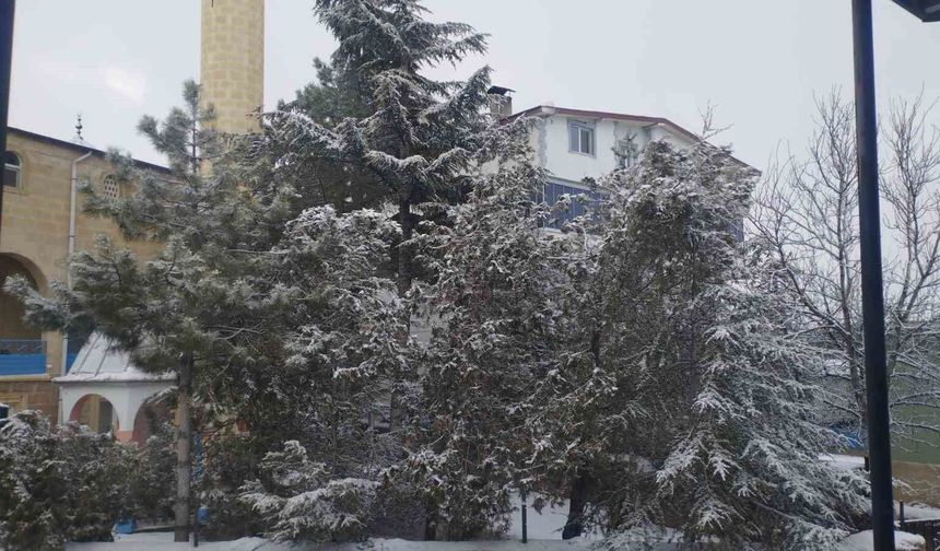 Adana’da Kartpostallık Görüntü! İlçe Beyaza Büründü