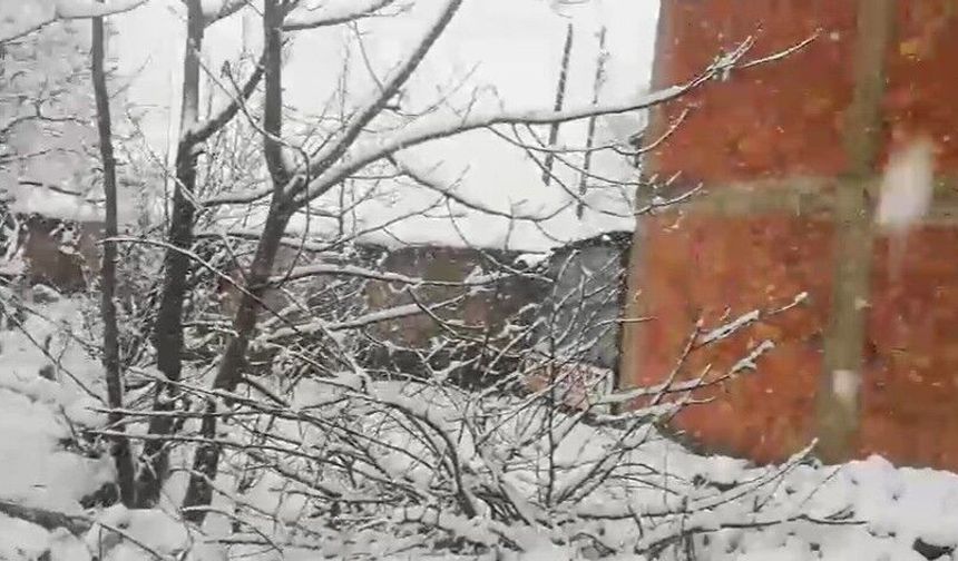 Mart Ayında Kar Sürprizi! Adana Beyaza Büründü