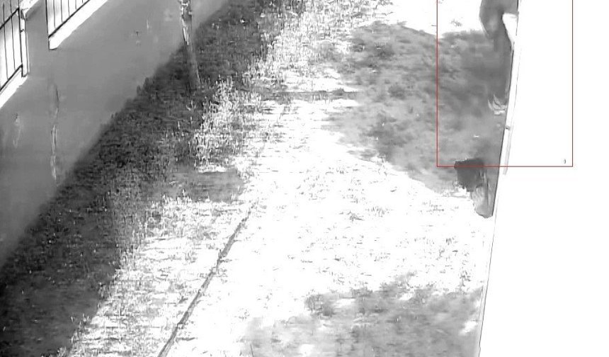 Film Sahnesi Gibi Hırsızlık: Tırmanarak Eve Girdi