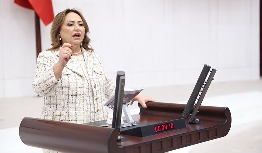 CHP’li Şevkin’den Meclise Dikkat Çeken Önerge: “Vatandaşın Tapusu Var Ama Tasarrufu Yok”