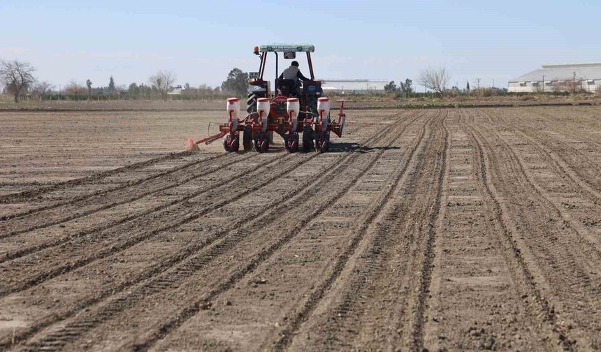 Adana Çiftçisinin Yüzü Güldü: Mısır ve Ayçiçeği Tohumları Toprakla Buluştu!