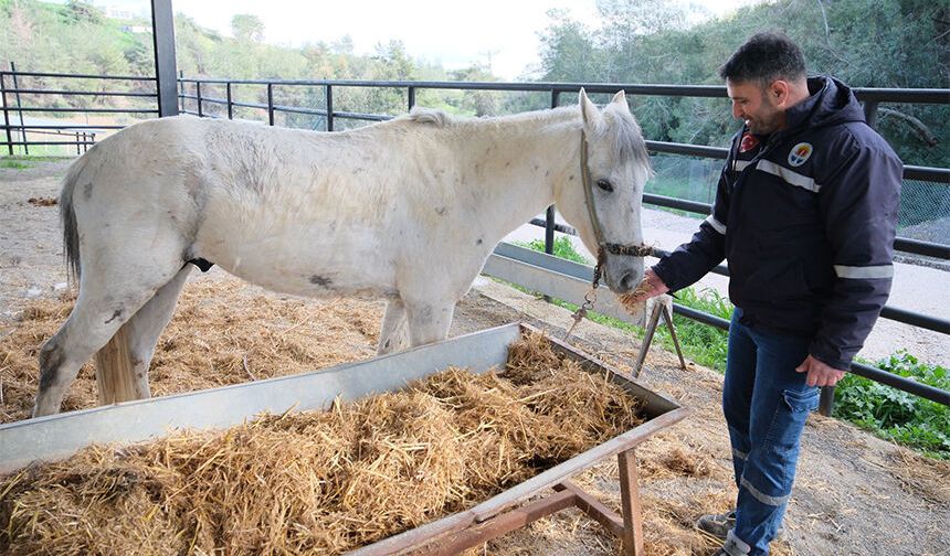O Ata ‘Vicdan’ Adı Verildi!