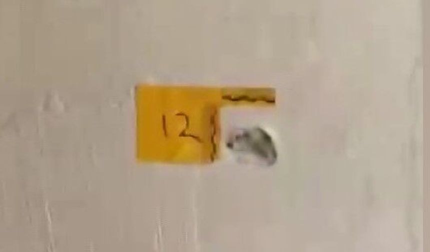 Kendilerini Polis Olarak Tanıttılar, Evde Kaos Yarattılar!