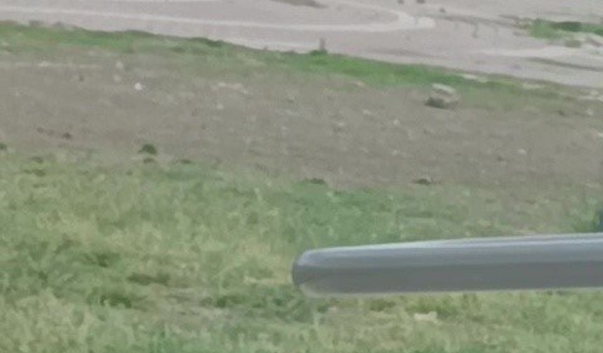 Adana’da Sokak Ortasında Dehşet! Sopalar ve Tüfekler Konuştu