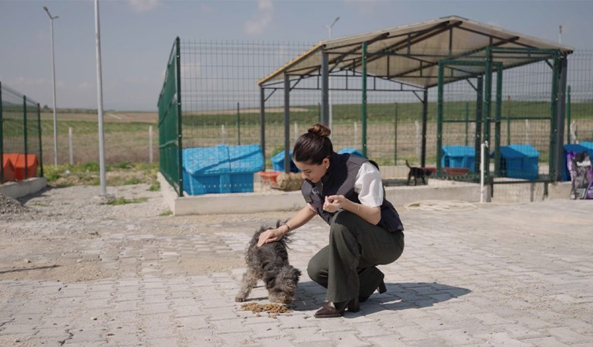 Ceyhan’da Patili Dostlara Dev Doğal Yaşam Alanı Açıldı!